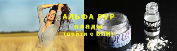 ECSTASY Белокуриха