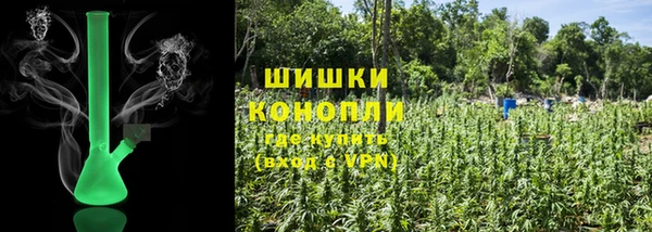 ECSTASY Белокуриха