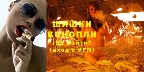 ECSTASY Белокуриха