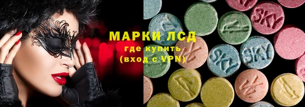 ECSTASY Белокуриха