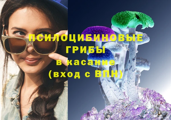 ECSTASY Белокуриха