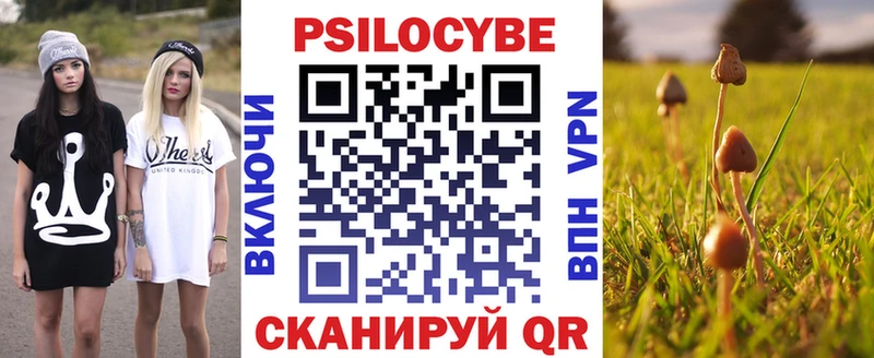 Псилоцибиновые грибы MAGIC MUSHROOMS  магазин продажи   Гремячинск 